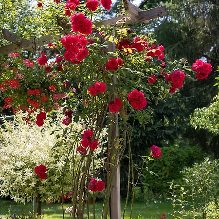 An Der Rennbahn Dresden