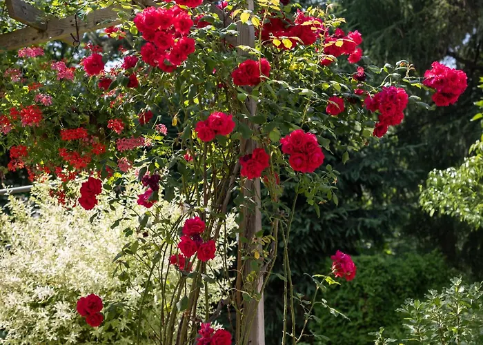 An Der Rennbahn Δρέσδη